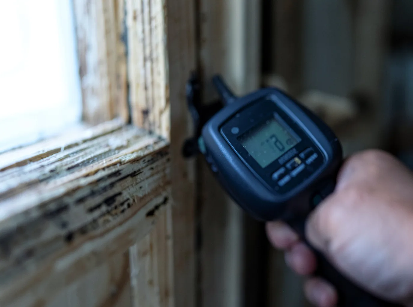 Water Damage Restoration Ray, ND FAQs